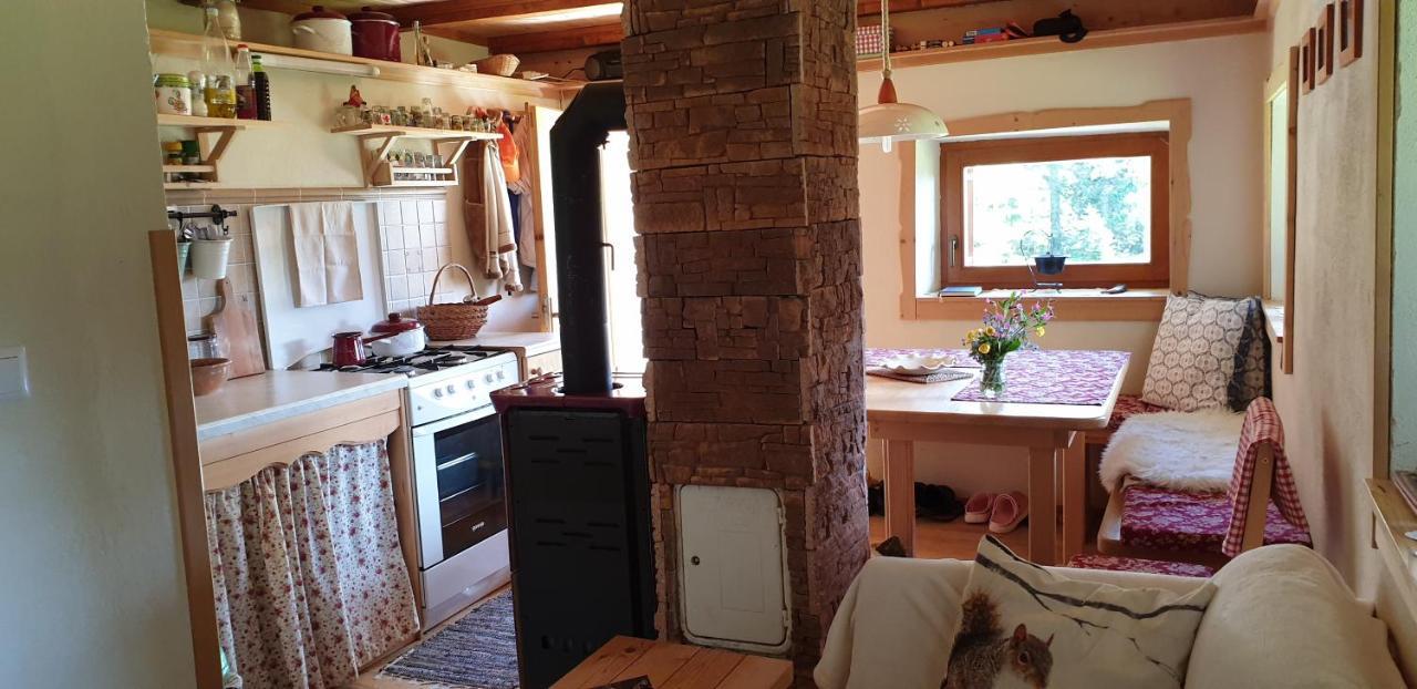 Mountain Eco Chalet Konjska Dolina On 1400 M Asl -Near Pokljuka Srednja Vas v Bohinju 外观 照片