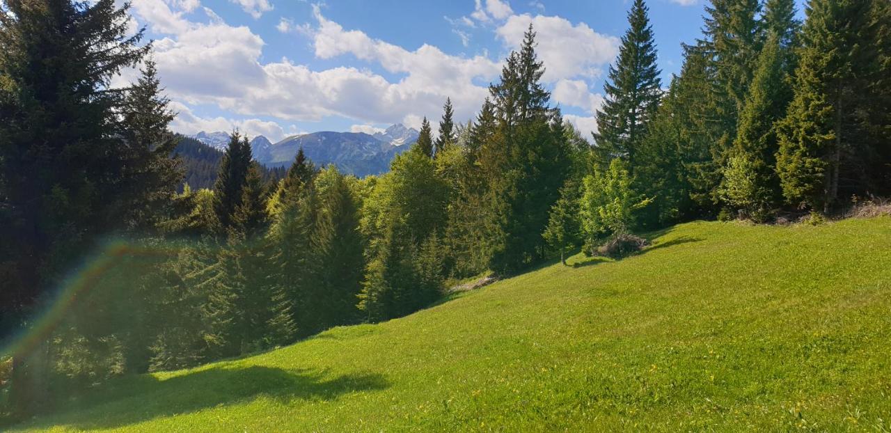Mountain Eco Chalet Konjska Dolina On 1400 M Asl -Near Pokljuka Srednja Vas v Bohinju 外观 照片