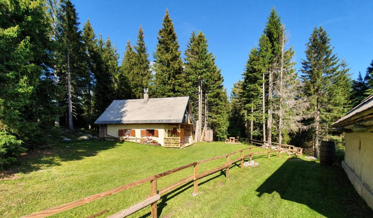 Mountain Eco Chalet Konjska Dolina On 1400 M Asl -Near Pokljuka Srednja Vas v Bohinju 外观 照片