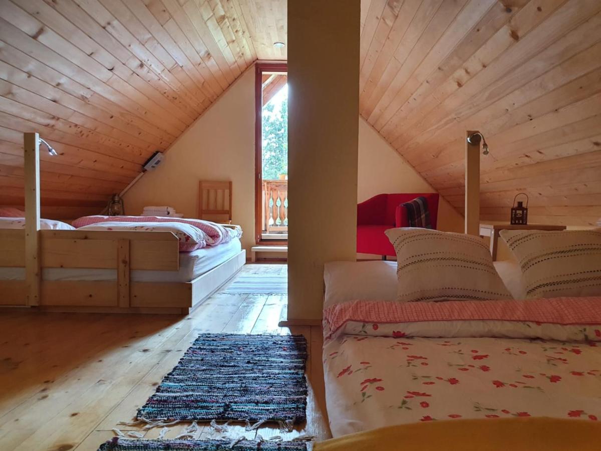 Mountain Eco Chalet Konjska Dolina On 1400 M Asl -Near Pokljuka Srednja Vas v Bohinju 外观 照片