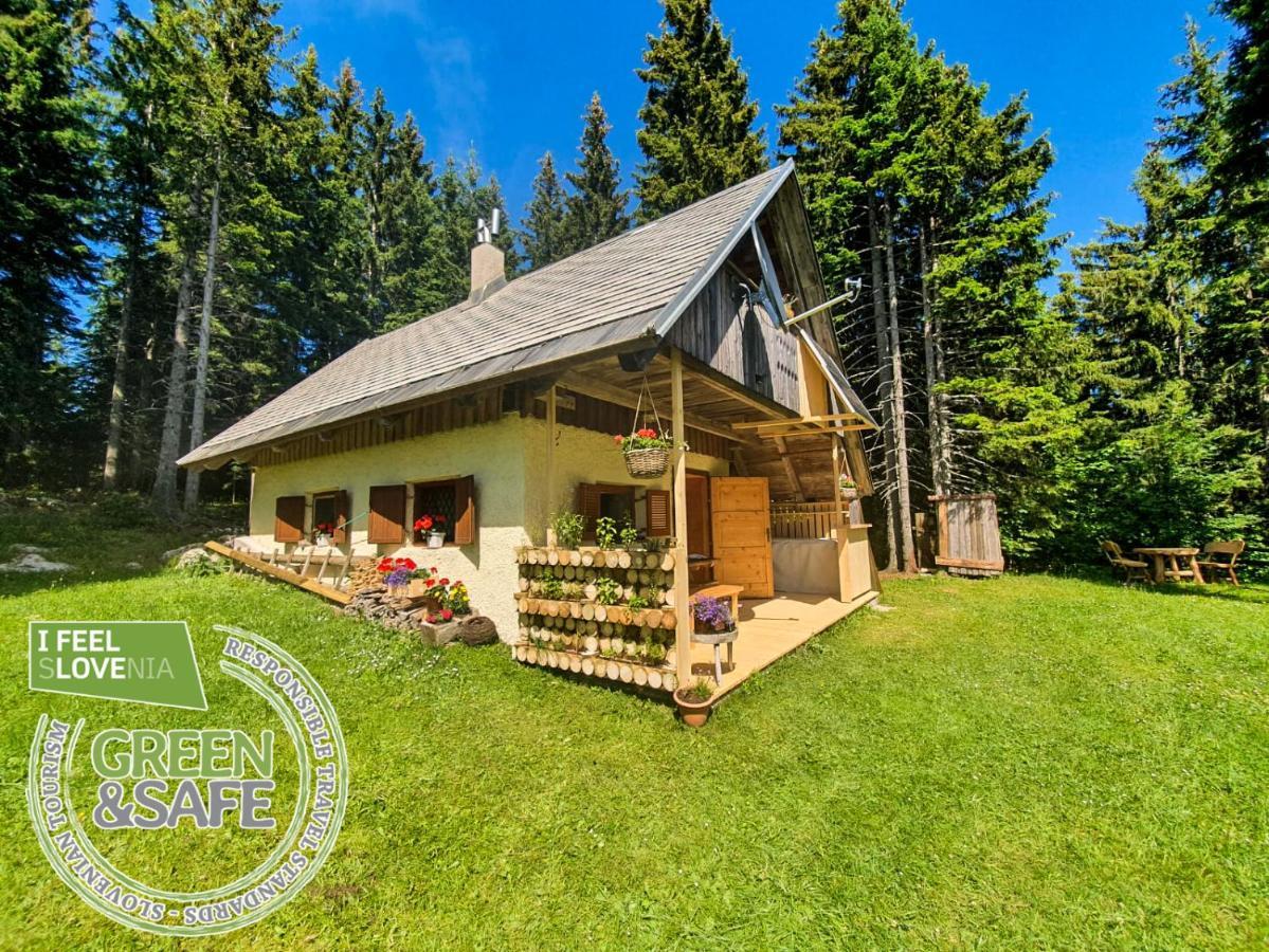 Mountain Eco Chalet Konjska Dolina On 1400 M Asl -Near Pokljuka Srednja Vas v Bohinju 外观 照片